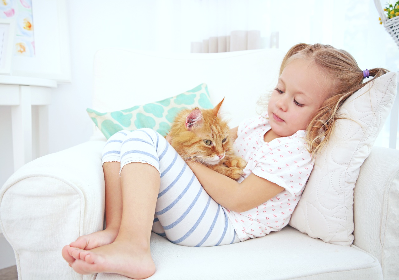 6 Great Reasons to Adopt an Adult Cat - Your Purrfect Kitty