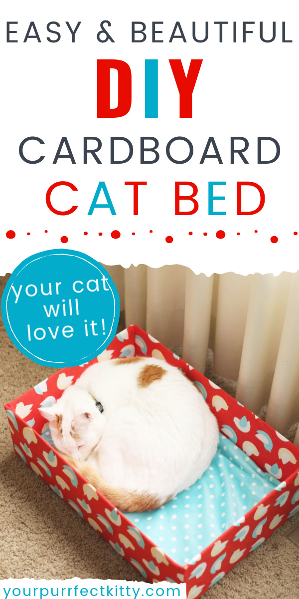 How to Make a Stylish Cat Bed Out of a Cardboard Box Your Purrfect Kitty