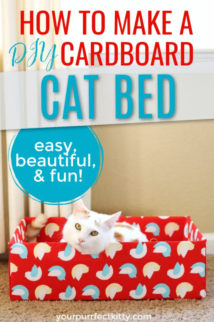 DIY cardboard box cat bed