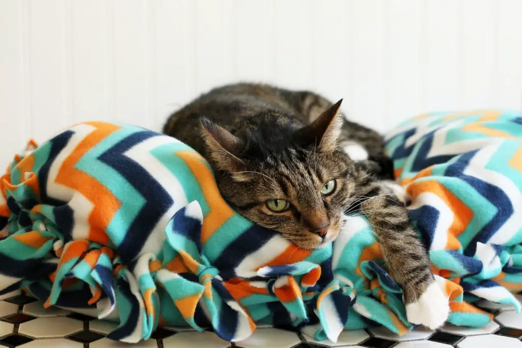 no-sew cat bed