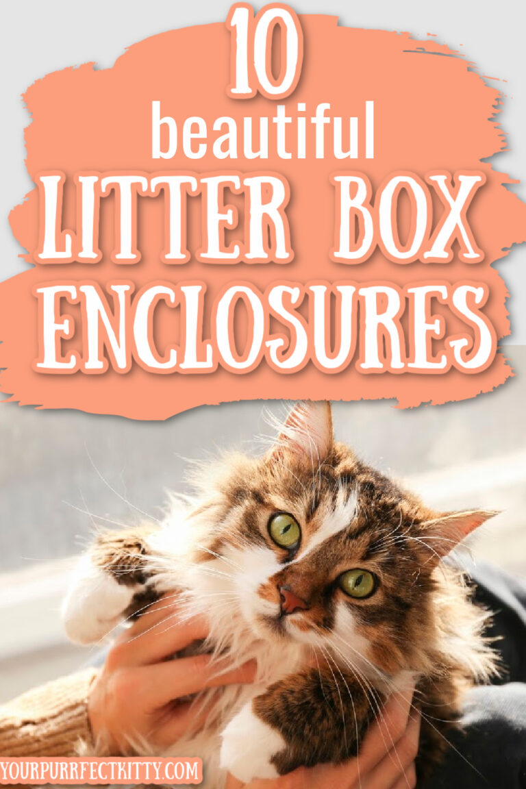 10 Beautiful Litter Box Enclosures Your Purrfect Kitty