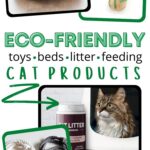 Sustainable Cat Products