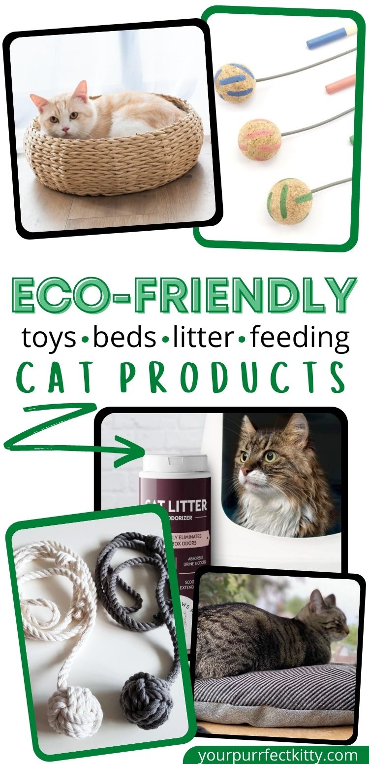 18 of the Best EcoFriendly Cat Products Your Purrfect Kitty