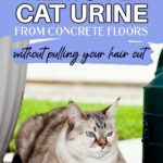 Urine smell on sale out of concrete