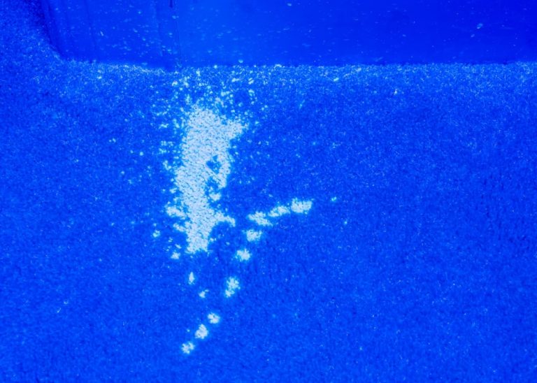 How to Get Cat Urine Smell Out of Concrete & Cement Your Purrfect Kitty