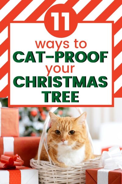 Surefire Ways to Cat-Proof Your Christmas Tree