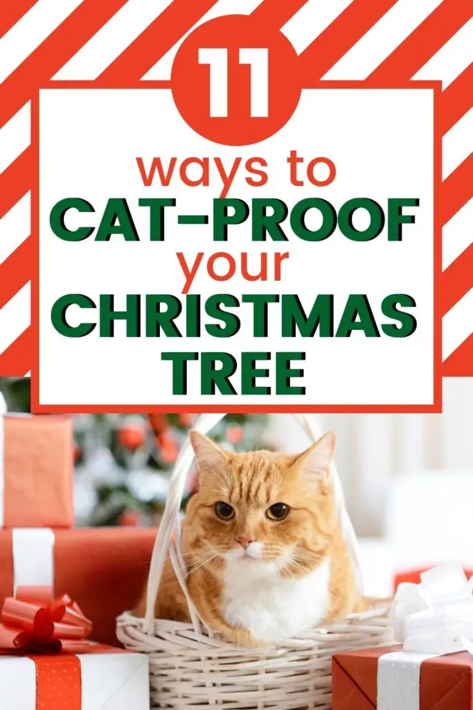 cat proofing your christmas tree