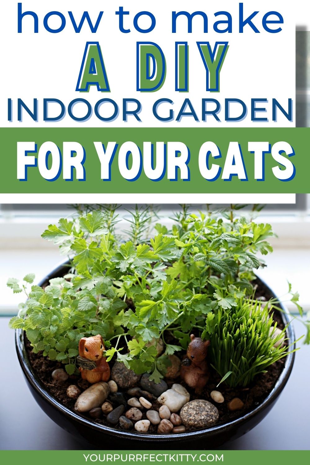 How to Make an Indoor Garden for Cats - Your Purrfect Kitty