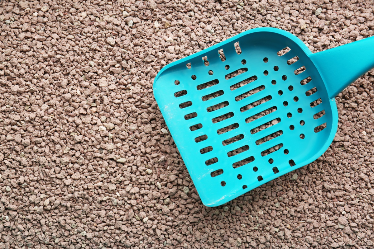 The Best Unscented Cat Litter for Sensitive Noses Your Purrfect Kitty