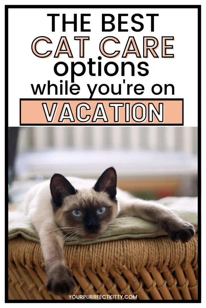 what to do with cat while away on vacation