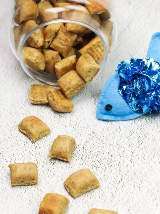 Diy cat snacks hotsell